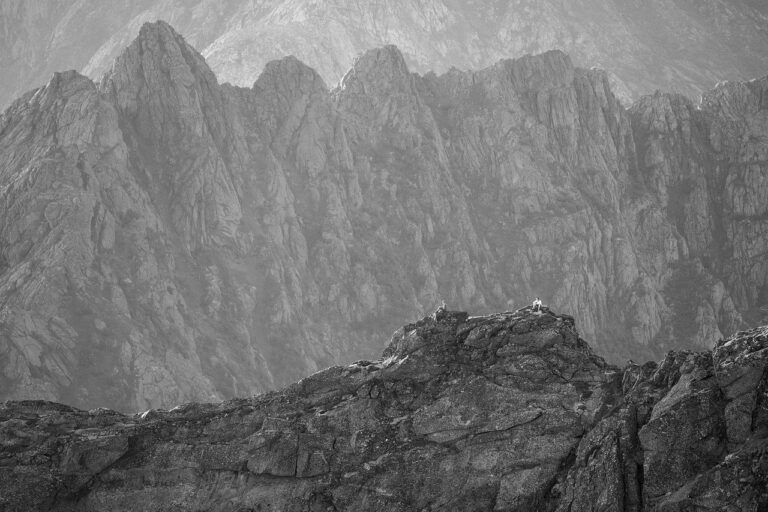 Borçka Karagöl Tabiat Parkı Kamp Alanları