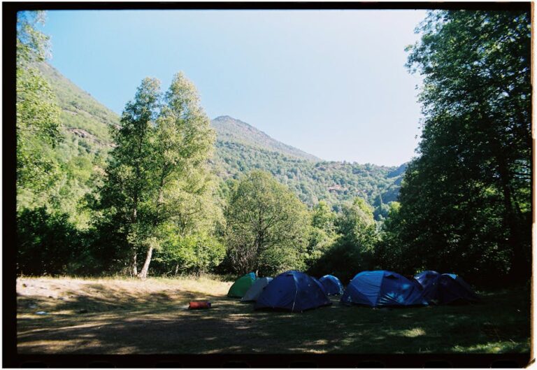 Hıdırnebi Yaylası Kamp Alanları